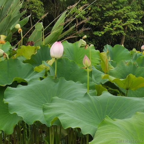 已注销于2021-08-11 18:11发布的图片