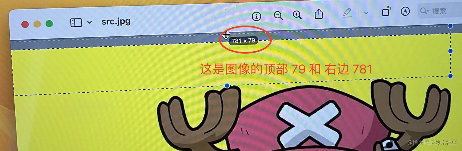 lm11.png