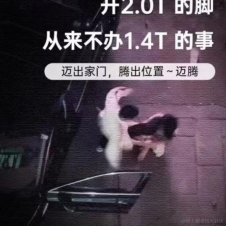 偷偷摸摸小寅子于2024-04-29 16:08发布的图片