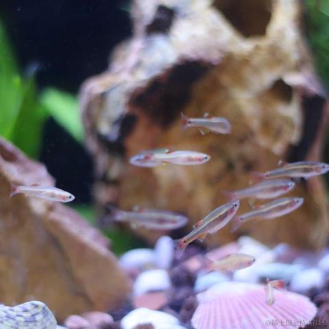 __momo__于2024-03-20 14:57发布的图片