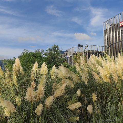 bysking于2023-08-28 19:03发布的图片