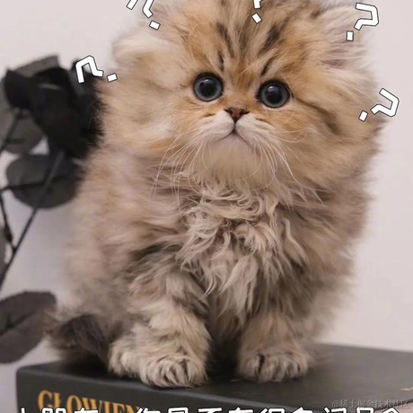 iwin621于2021-10-31 17:00发布的图片