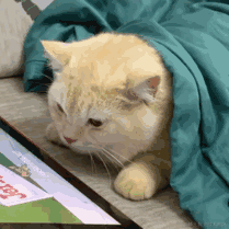 城心想干饭于2023-02-03 13:14发布的图片