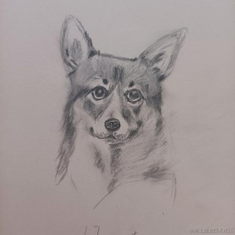 超牛programmer于2023-06-08 07:50发布的图片