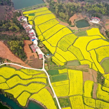 游戏不存在于2021-03-16 12:00发布的图片