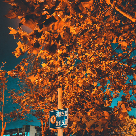 ank睡不醒于2023-05-07 23:49发布的图片