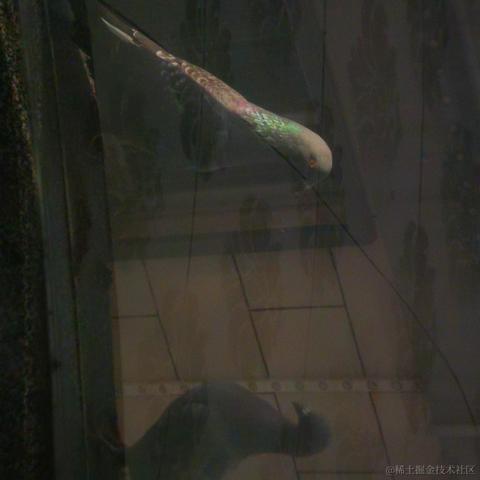 126个倾于2023-07-04 17:36发布的图片