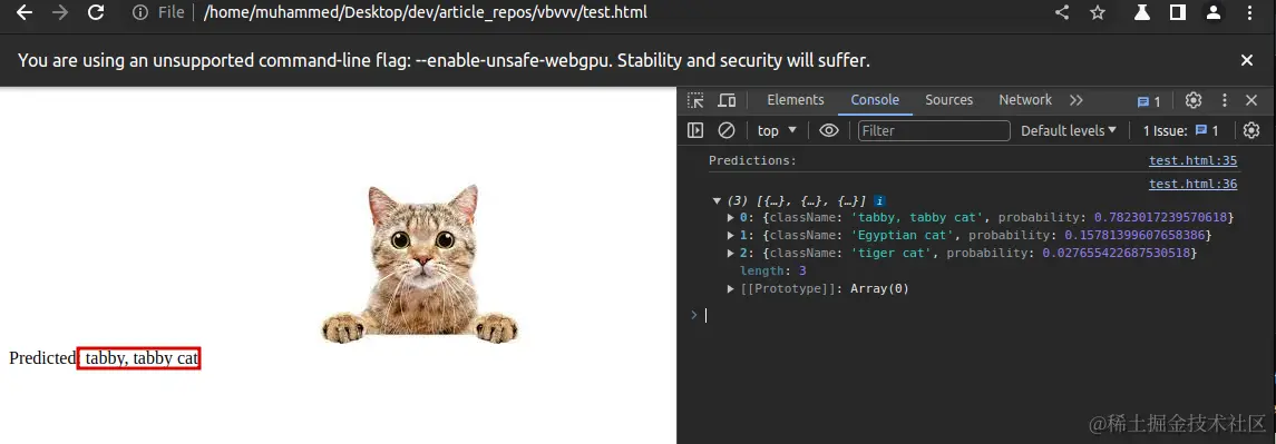 webgpu-tensorflow-prediction-tabby-cat.webp