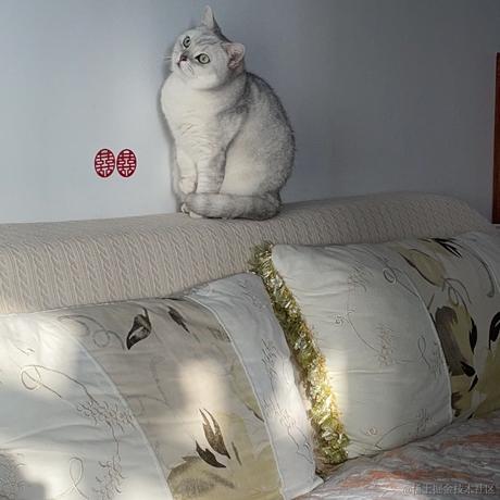 礼格表于2023-05-16 14:46发布的图片