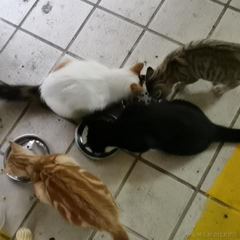 Yj家的孺子牛于2022-11-03 23:45发布的图片