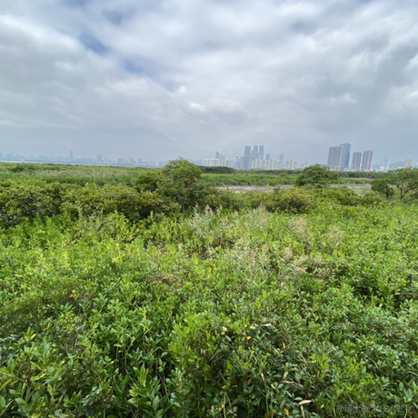 Hwa92于2022-11-13 12:02发布的图片