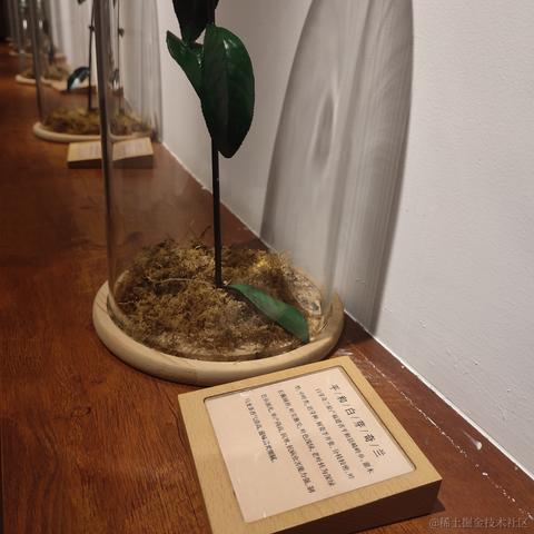 全国人民于2022-11-05 21:13发布的图片