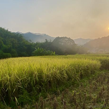 接着奏乐快接着舞于2023-11-10 15:31发布的图片