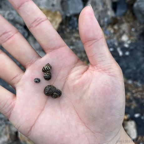 yioo于2023-04-16 17:16发布的图片