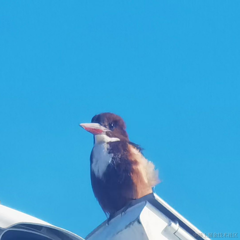 内推找我于2023-01-19 10:15发布的图片