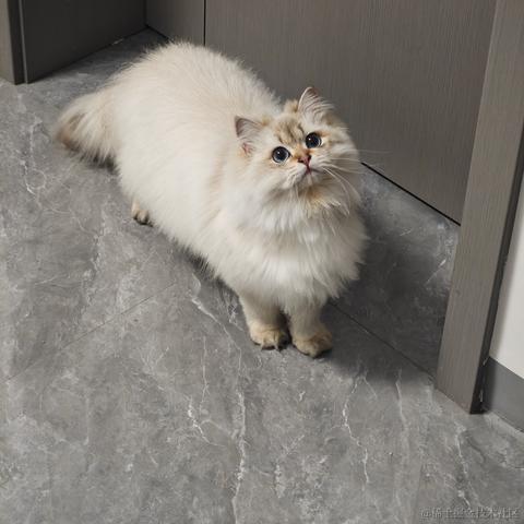 在家摸鱼于2024-03-28 15:20发布的图片