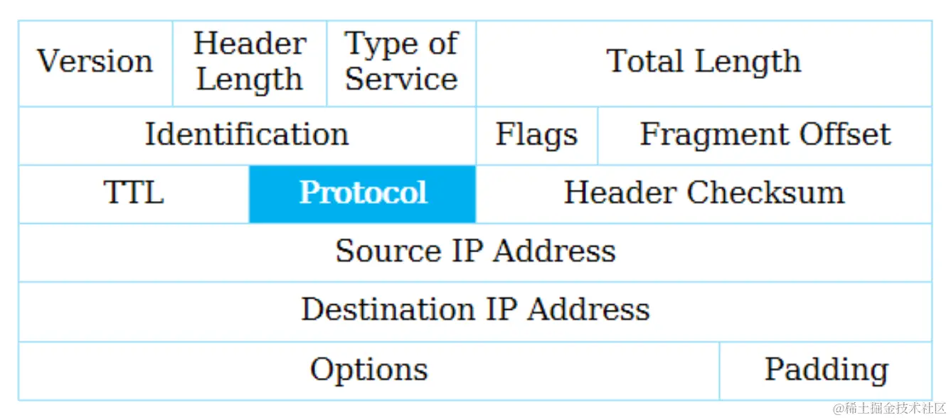 ip协议字段英文.png