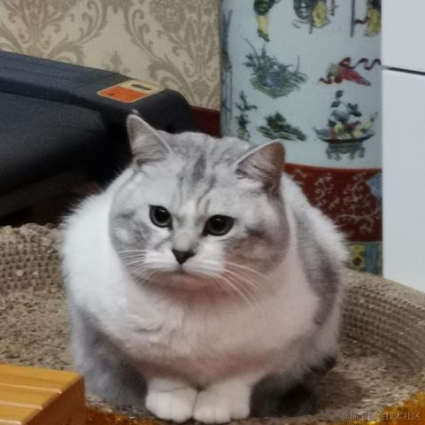 离离原上普于2023-01-25 18:00发布的图片