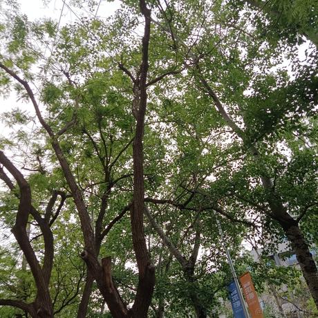 荒城临古渡于2023-04-26 17:35发布的图片