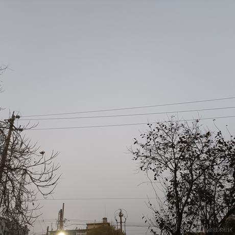 東雪連今天吃什么于2022-11-26 06:57发布的图片