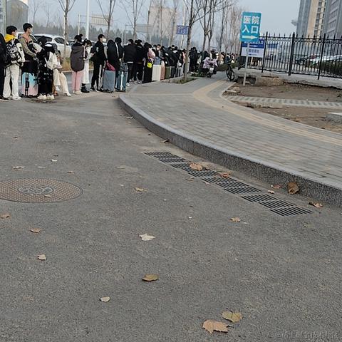 枝江一个魂于2022-11-19 15:44发布的图片