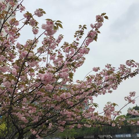 老王357于2023-04-11 20:41发布的图片