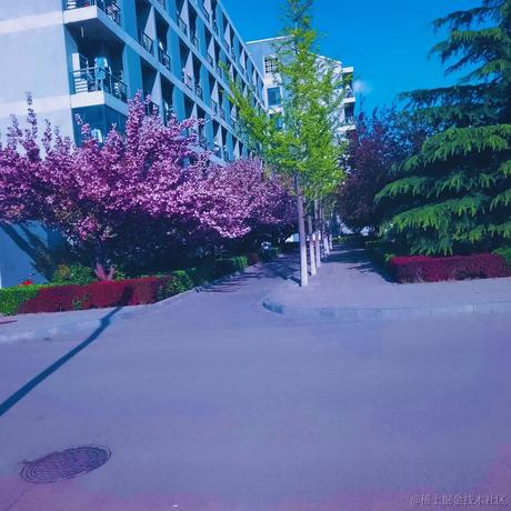 用户6248811048581于2023-04-18 14:17发布的图片