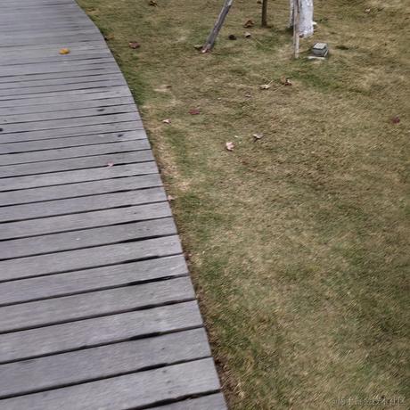 bk0717橡皮擦于2022-11-24 07:55发布的图片