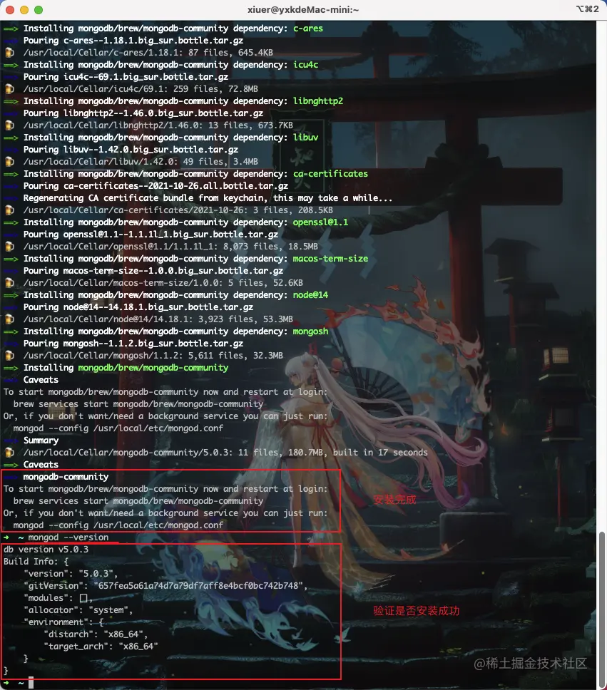 mongodb brew 安装.png