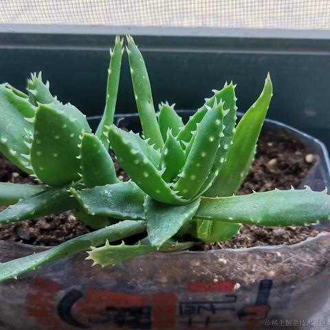 youth_于2022-05-07 08:51发布的图片