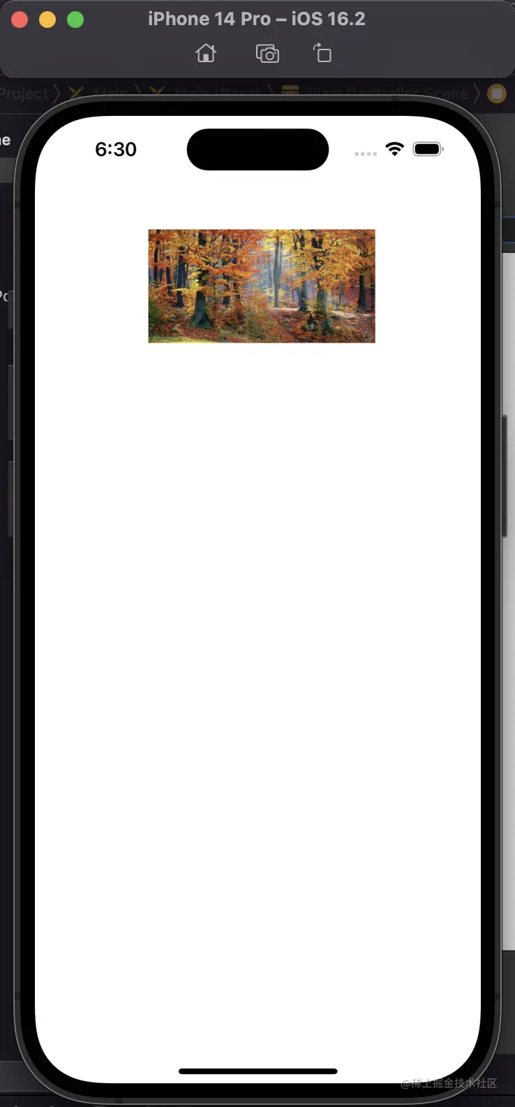 Pasted Graphic 4.png