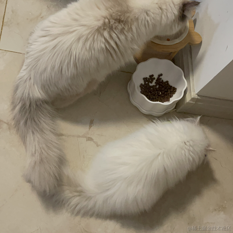 3U小吴于2022-02-20 23:09发布的图片