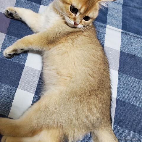 将军山最速下山传说于2020-12-15 08:28发布的图片