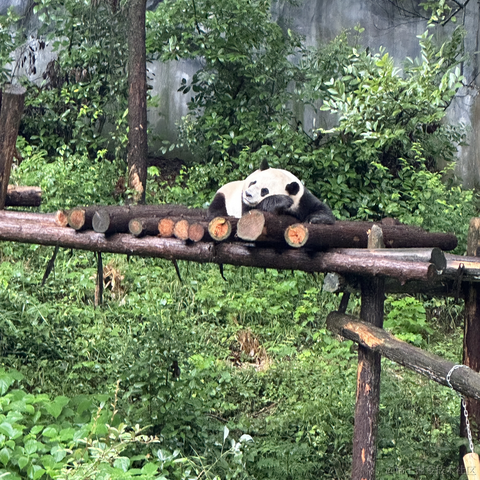 已注销于2024-07-02 11:34发布的图片