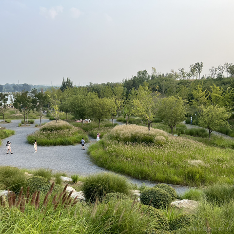 研究员于2023-09-16 18:31发布的图片