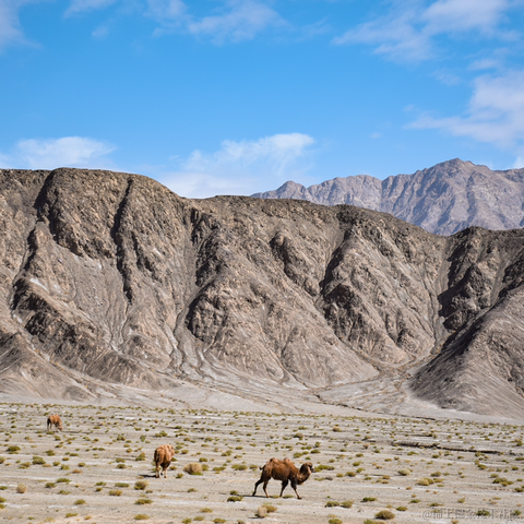 蓝冰Null于2022-07-15 16:44发布的图片