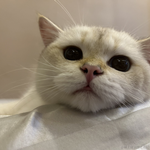 我不是KFC于2024-01-01 01:10发布的图片