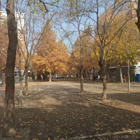 向晚可爱捏于2022-11-23 16:09发布的图片