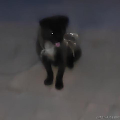 薄岁于2023-06-24 10:30发布的图片