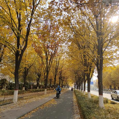 困困小孩救济中心于2022-11-16 10:41发布的图片