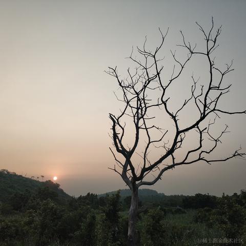 树桐robot于2020-10-06 14:48发布的图片