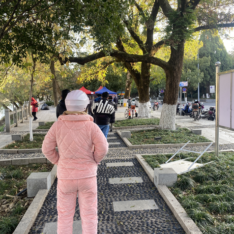 一木1于2022-12-19 08:10发布的图片