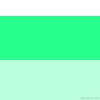 mytac于2024-05-17 15:12发布的图片