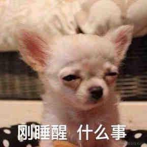 有一只猪于2022-06-23 21:23发布的图片