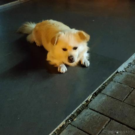 打杂摸鱼第二名于2021-09-11 10:37发布的图片