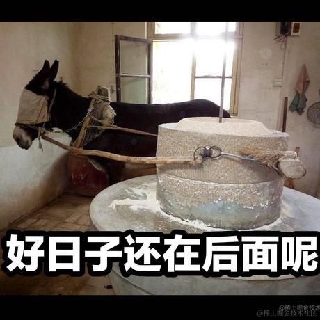 v我五十于2022-06-06 13:34发布的图片