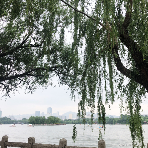 Asscre于2021-06-14 23:20发布的图片