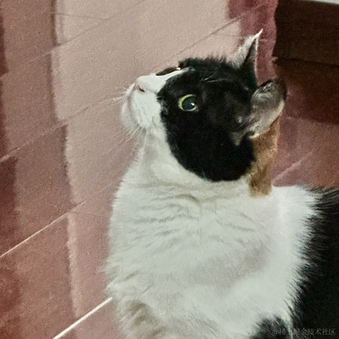 逃离月球表面于2023-05-13 21:47发布的图片