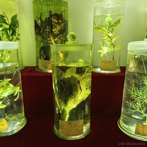 千岁归鹤于2022-11-26 15:06发布的图片