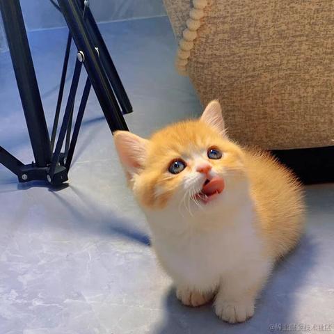 来自艾欧尼亚的最强王者于2022-01-07 22:05发布的图片